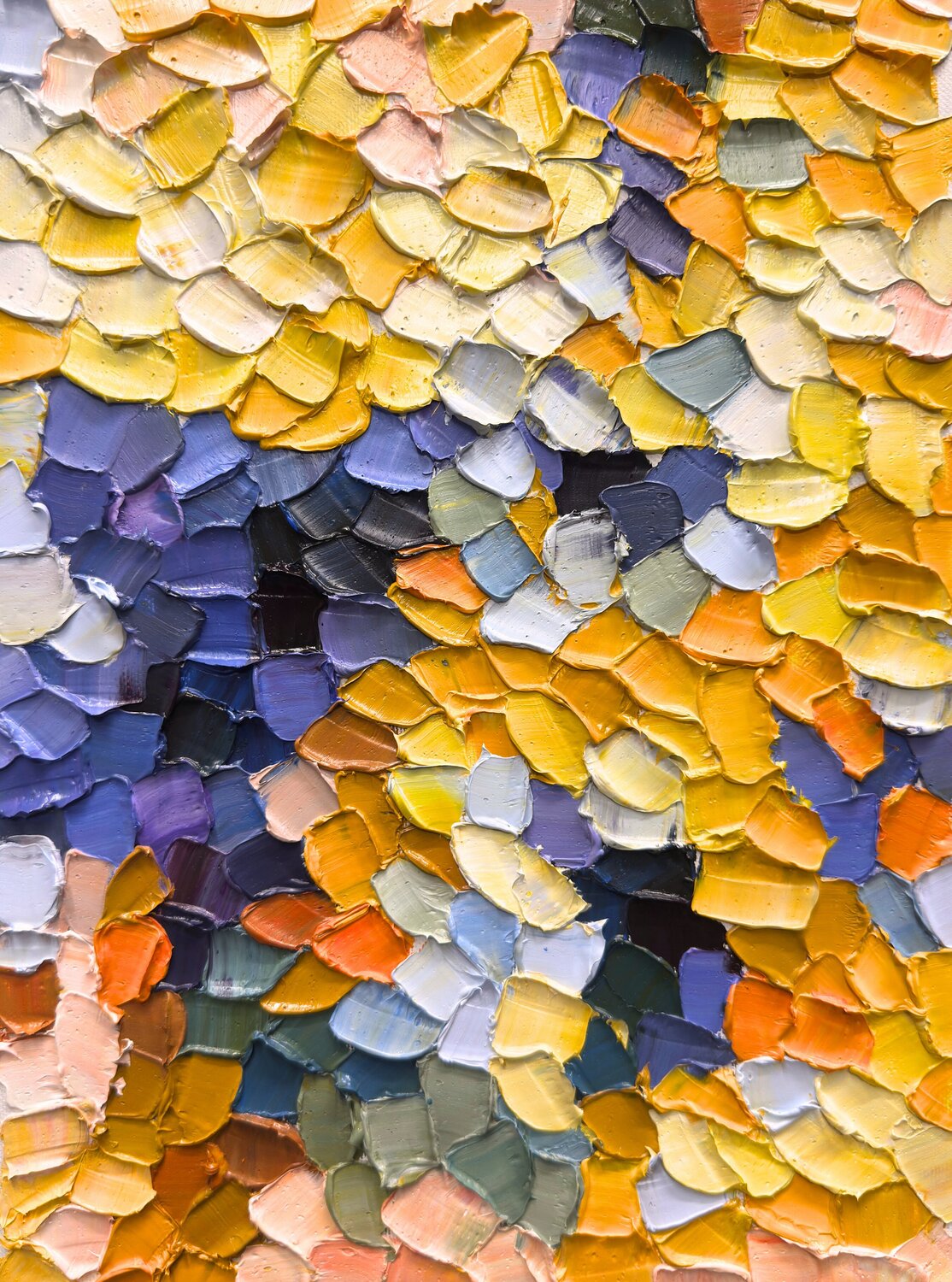 Sunlight Garden Anastasiia Krykun