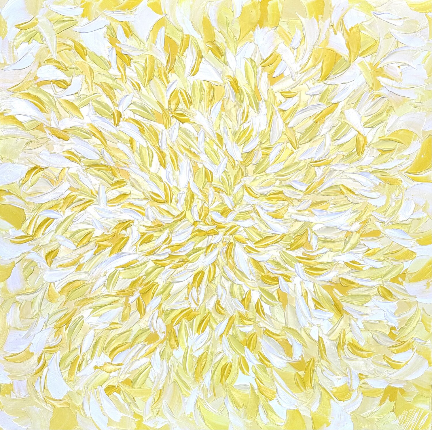 Jeux de lumière... (Expression libre 2023) Olivier Messas