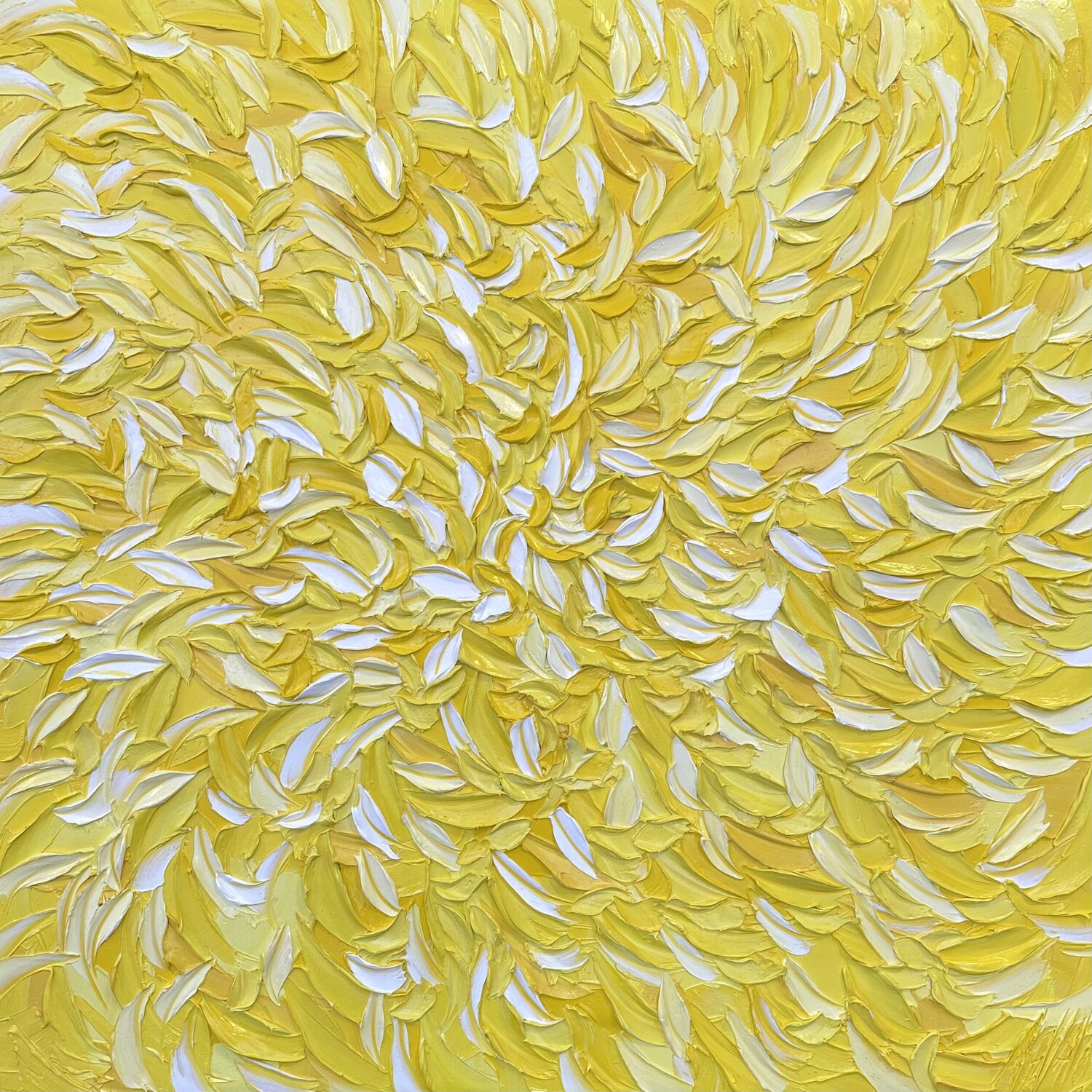 Reflets de lumière… (EXPRESSION LIBRE 2024) Olivier Messas