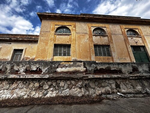 Fight for your Freedom by Nitouche Anthoussi, Photography for Sale on Singulart