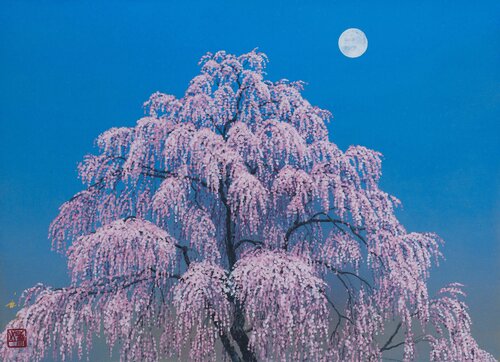 Drooping Cherry Blossoms by Kazuyuki Futagawa, Painting for Sale on Singulart