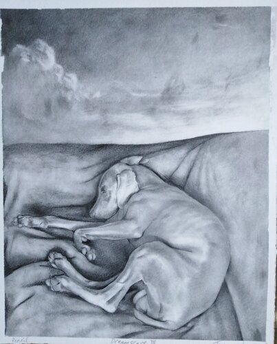 Dreamscape III - Toto Asleep van Thomas Watson, Werk op papier te koop op Singulart