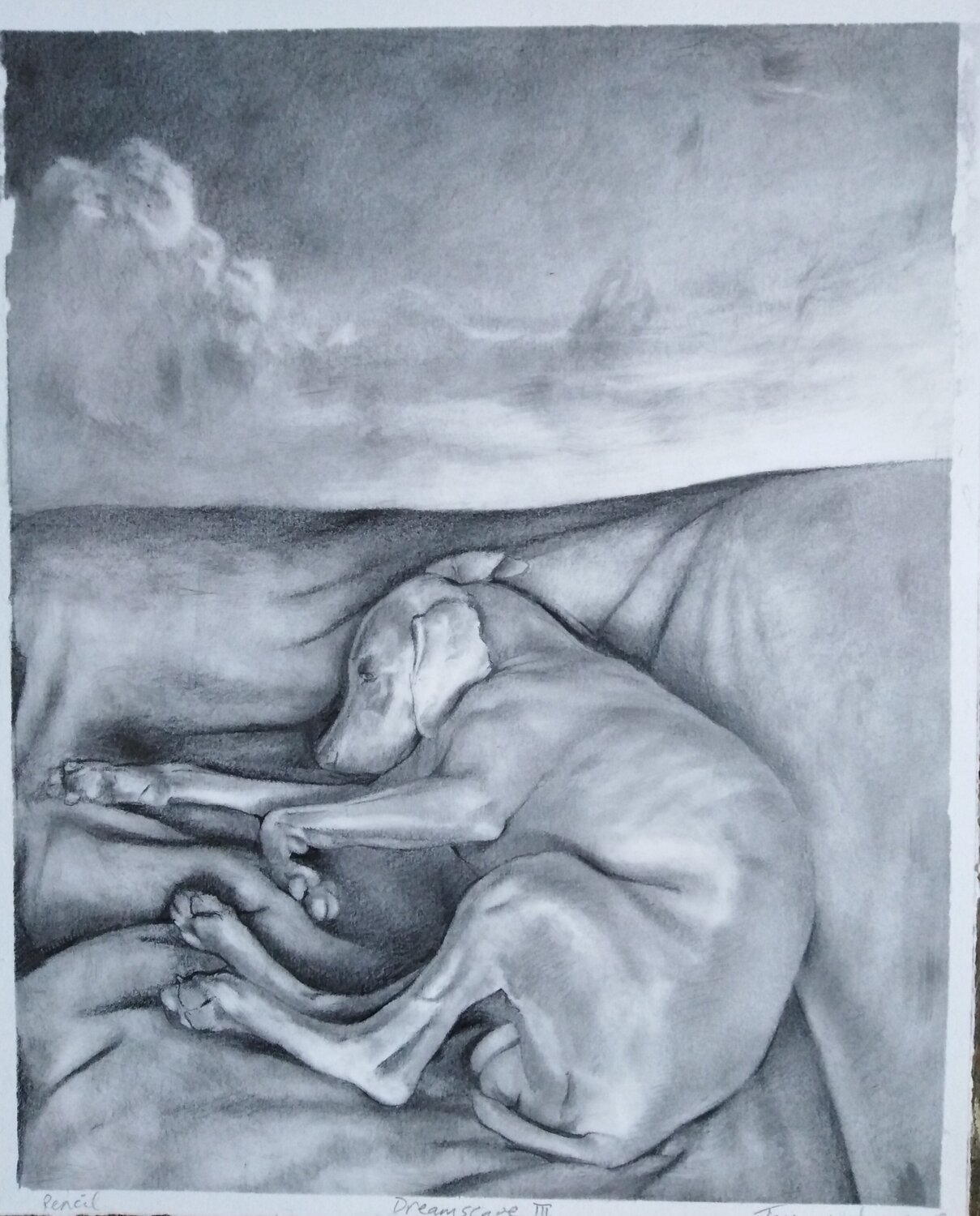 Dreamscape III - Toto Asleep Thomas Watson