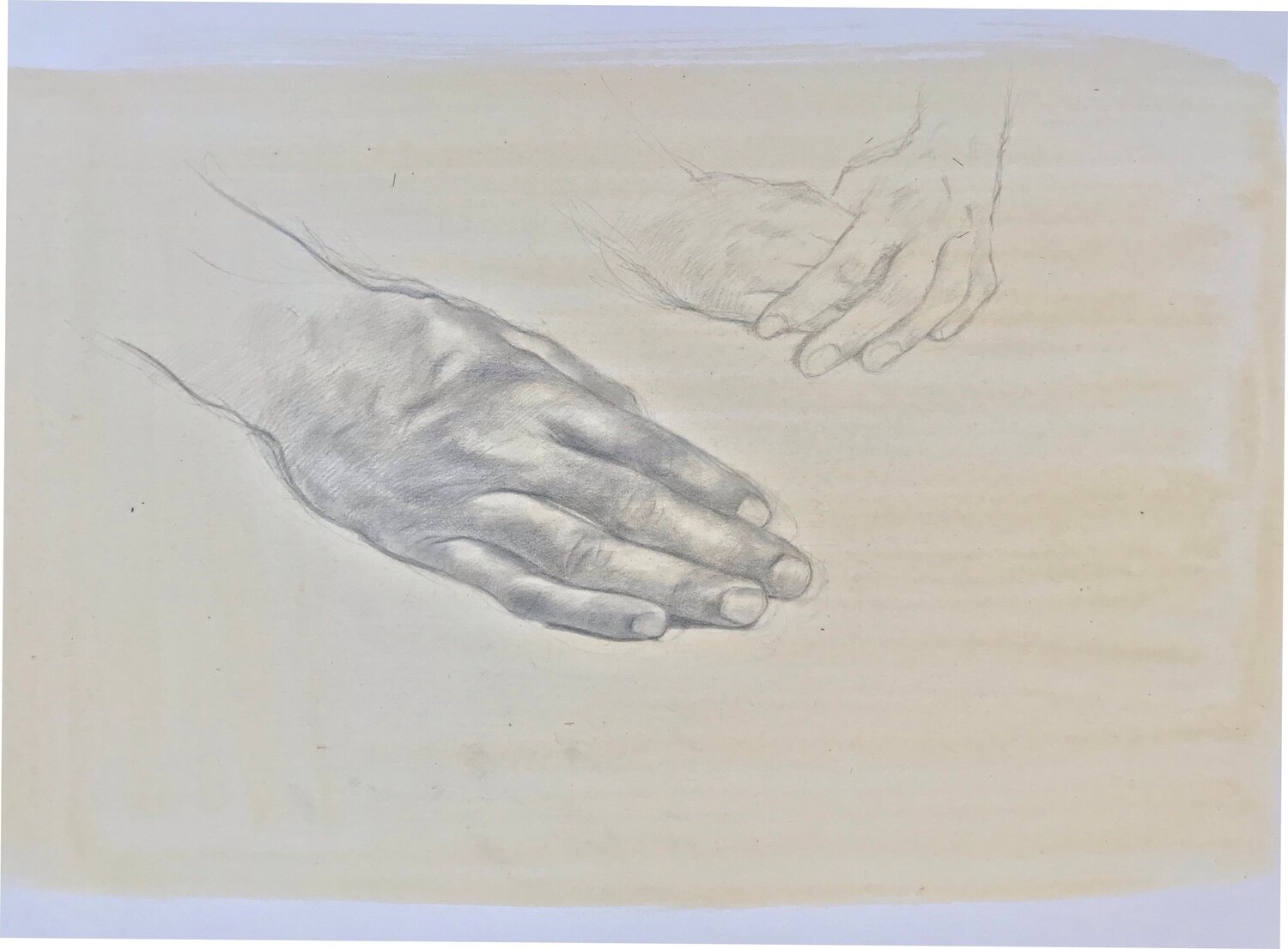 Indika's Hands Thomas Watson