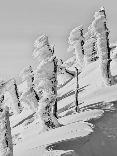 Aliviento Nro 001 von Pablo O'Ryan, Fotografie kaufen auf Singulart