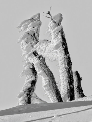 Aliviento Nro 002 von Pablo O'Ryan, Fotografie kaufen auf Singulart