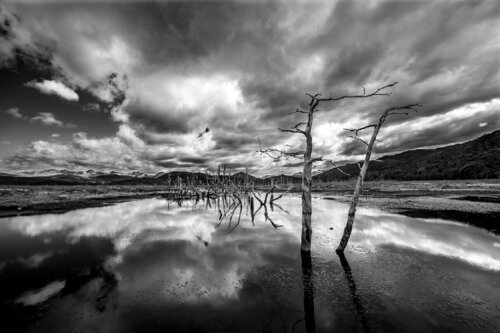 Empty von Pablo O'Ryan, Fotografie kaufen auf Singulart