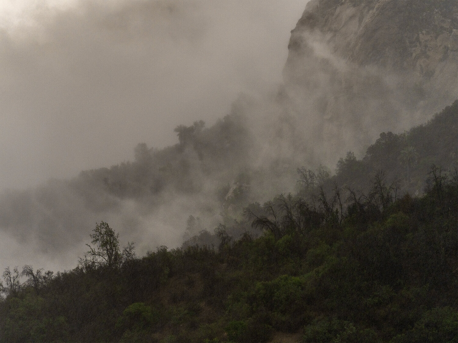 Primera Lluvia Pablo O'Ryan