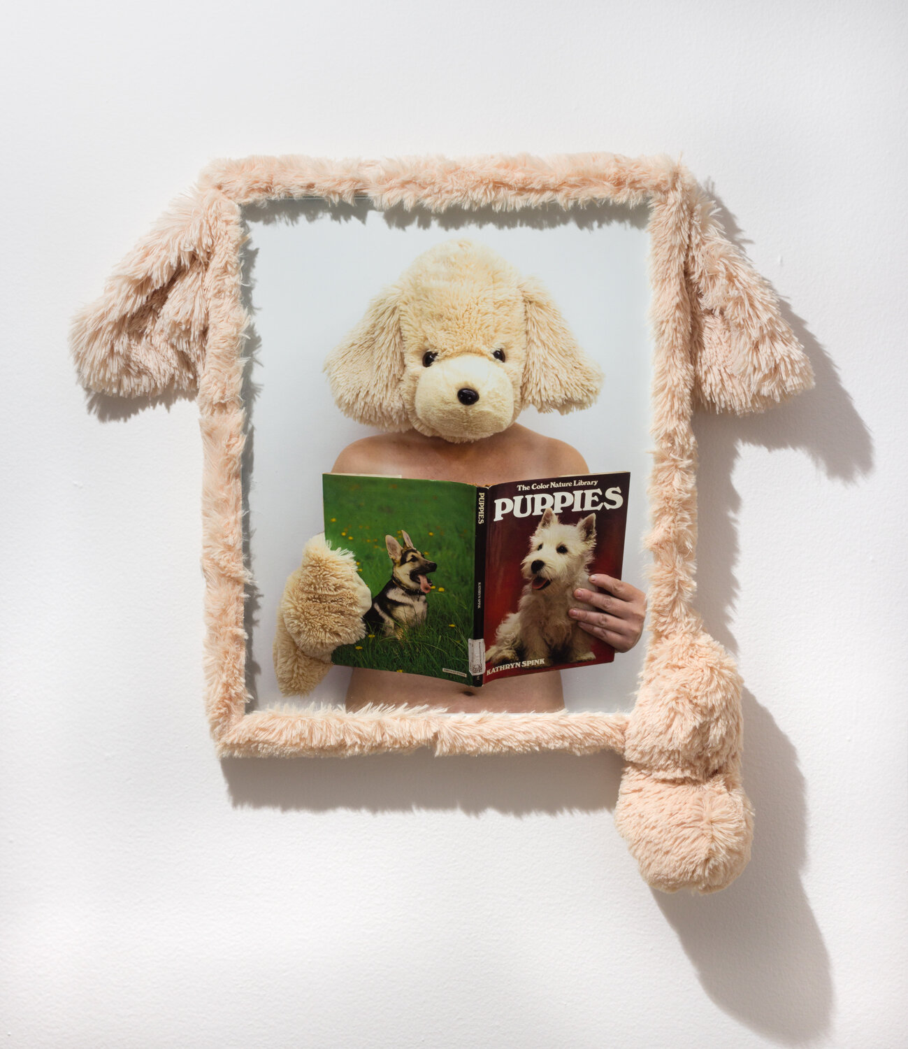 Reading is Fun Debra Broz Photographie à vendre