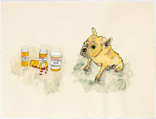 Dog Pharmacy by Eve Wood, Work on Paper for Sale on Singulart