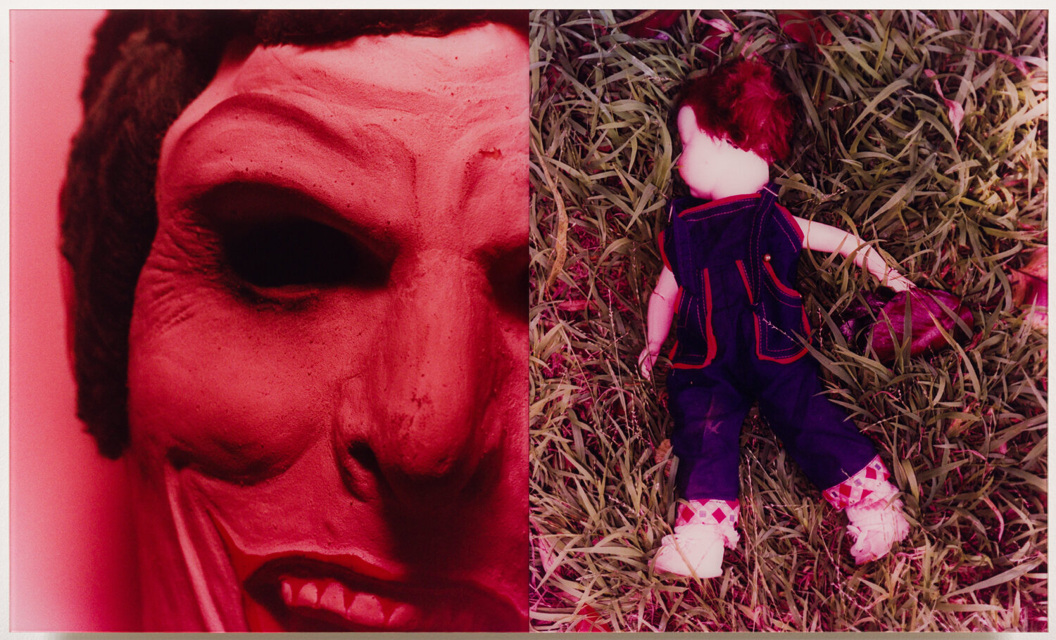 Like A Red Headed Step Child Laurie Steelink Photographie à vendre