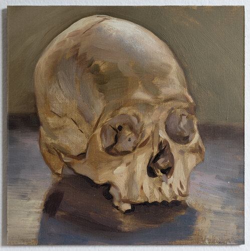 Skull Study by Frank Ryan, 絵画 for Sale on Singulart