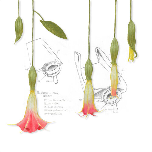Bloom Speculum, Large Brugmansia (from the Bloom Speculum Suite) par Nao Bustamante, Édition en vente sur Singulart