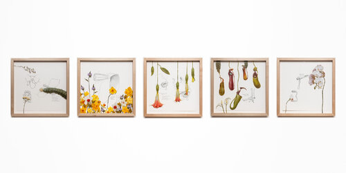 BLOOM par Nao Bustamante, Peinture en vente sur Singulart