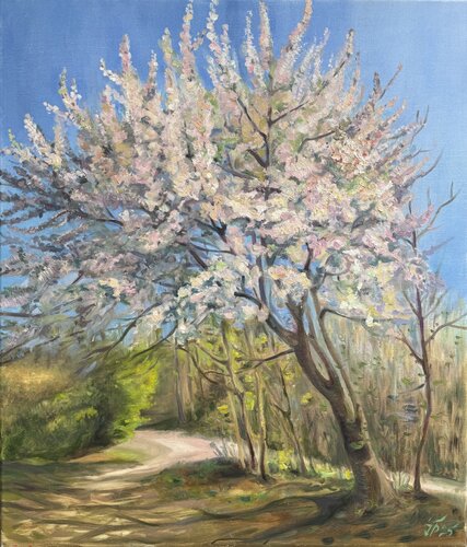 Spring in Blossom van Iryna Barabash, Schilderij te koop op Singulart