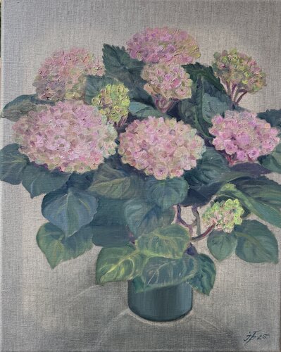 Hydrangea Stillness di Iryna Barabash, Pittura in vendita su Singulart