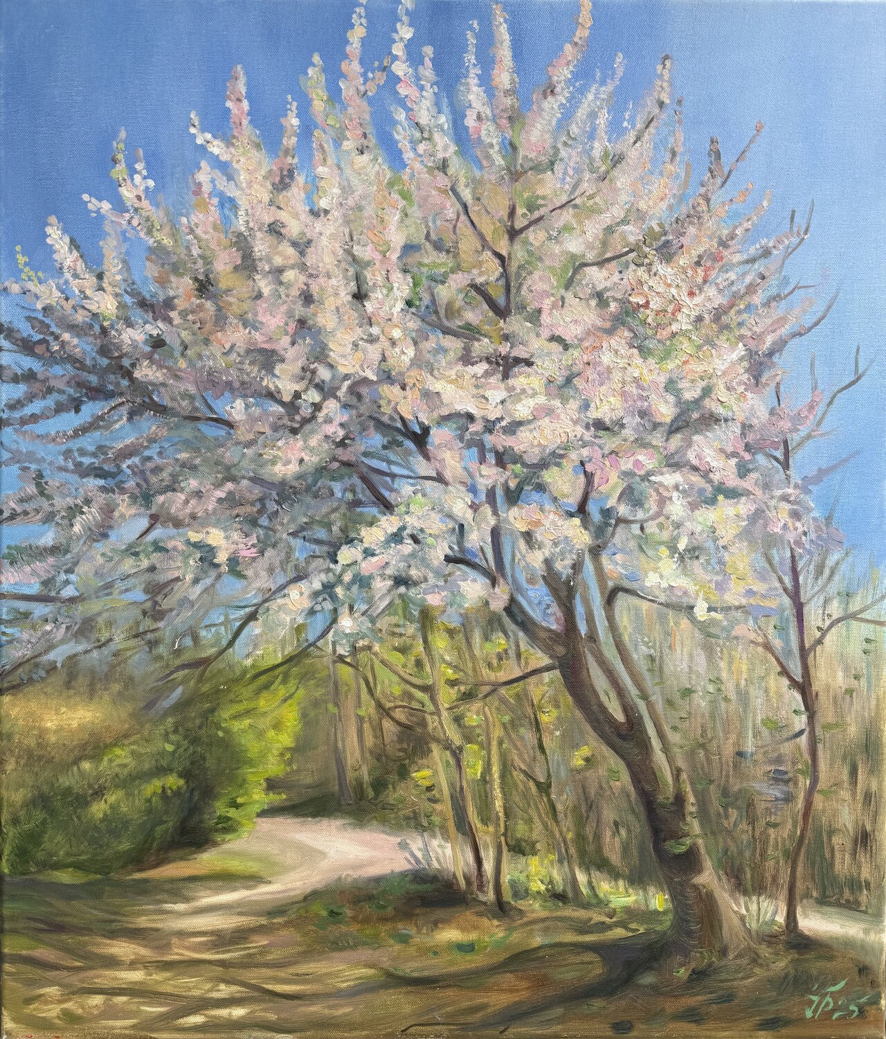 Spring in Blossom Iryna Barabash
