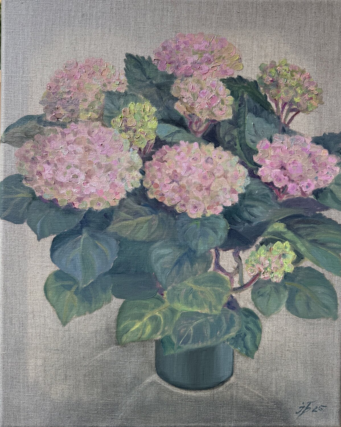 Hydrangea Stillness Iryna Barabash