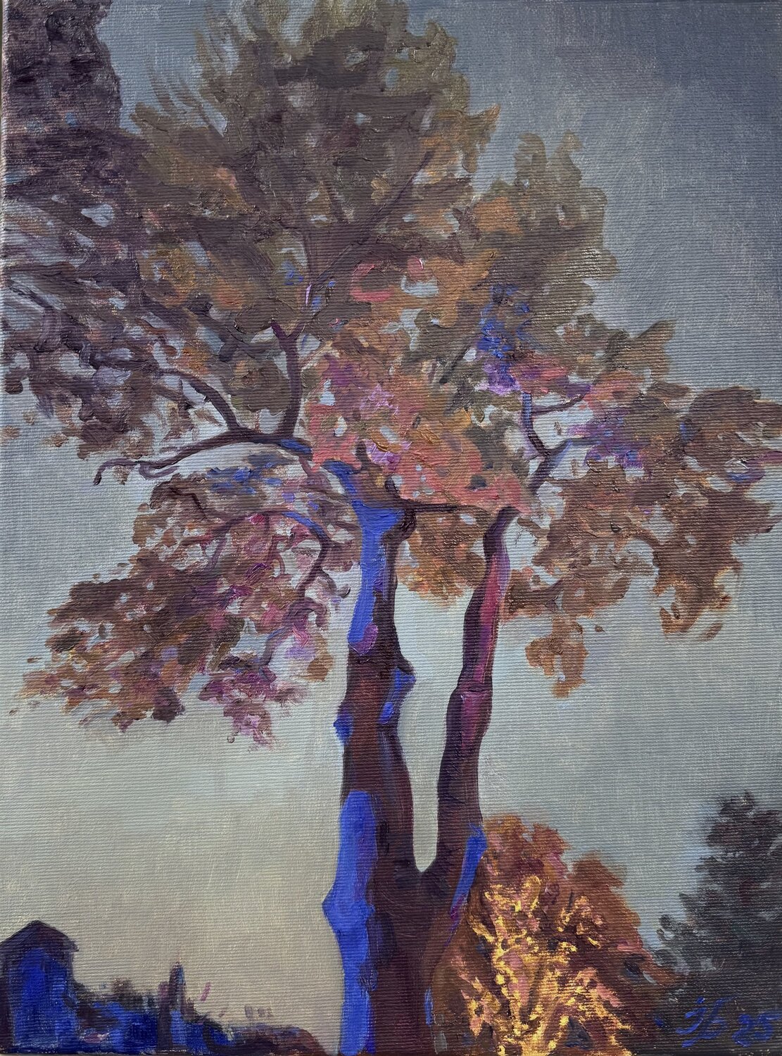 Evening Light at Cristmas Iryna Barabash