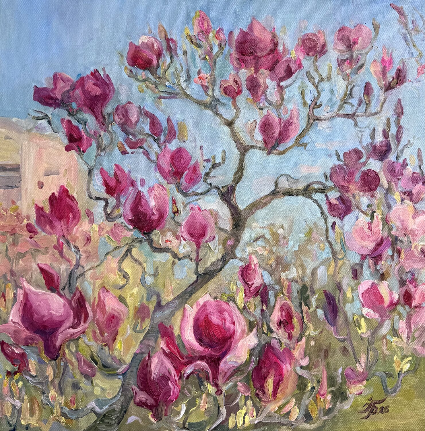 Magnolia in bloom Iryna Barabash