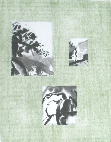 Conifers von Janette K. Hopper, Druck kaufen auf Singulart