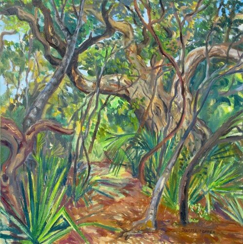 Timmons Oak di Janette K. Hopper, Pittura in vendita su Singulart