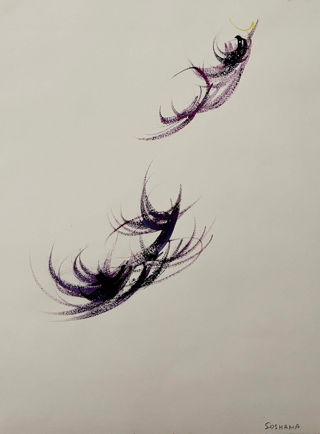 Wings, Cat. No. 9929 Soshana Afroyim