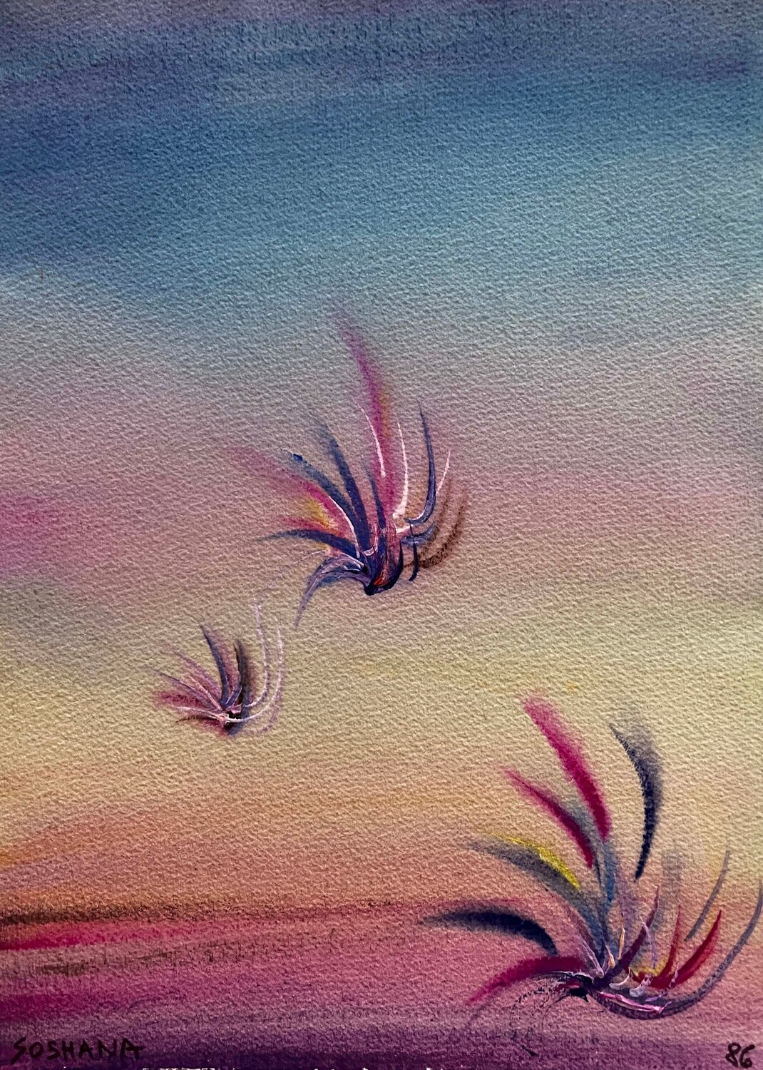 Seaflower, Cat. No. 5229 Soshana Afroyim