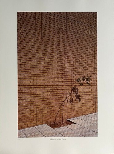 Randburg, South Africa von Barry Lategan, Fotografie kaufen auf Singulart