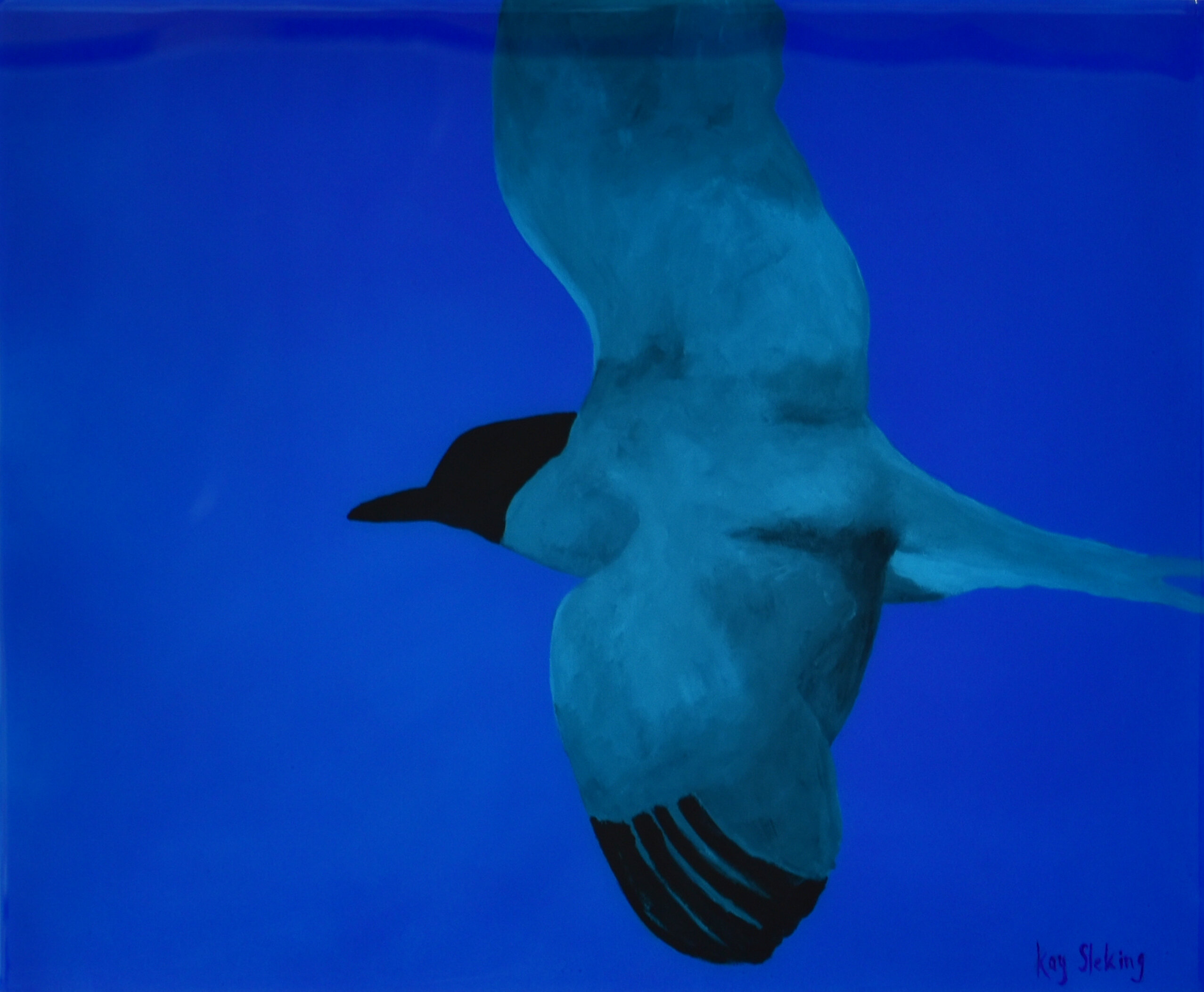 The Shape of Flight