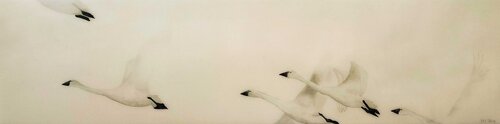 White Series - Swan III von Kay Sleking, Malerei kaufen auf Singulart