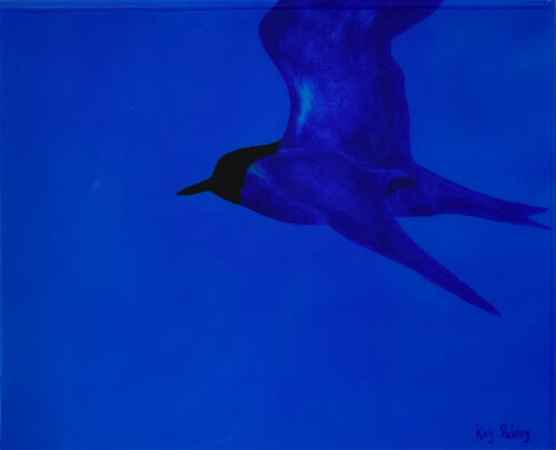 Night Flight II Kay Sleking