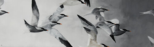 FLIGHT OF TERNS 2# Kay Sleking