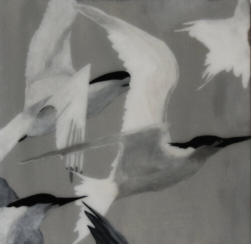 Flight of Terns #3 by Kay Sleking, 회화 for Sale on Singulart