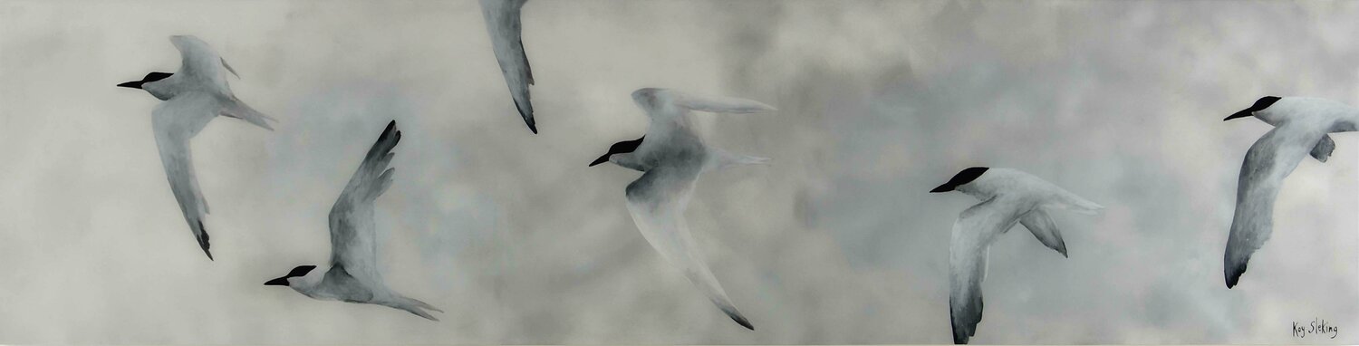 Flight of Terns 5 Kay Sleking