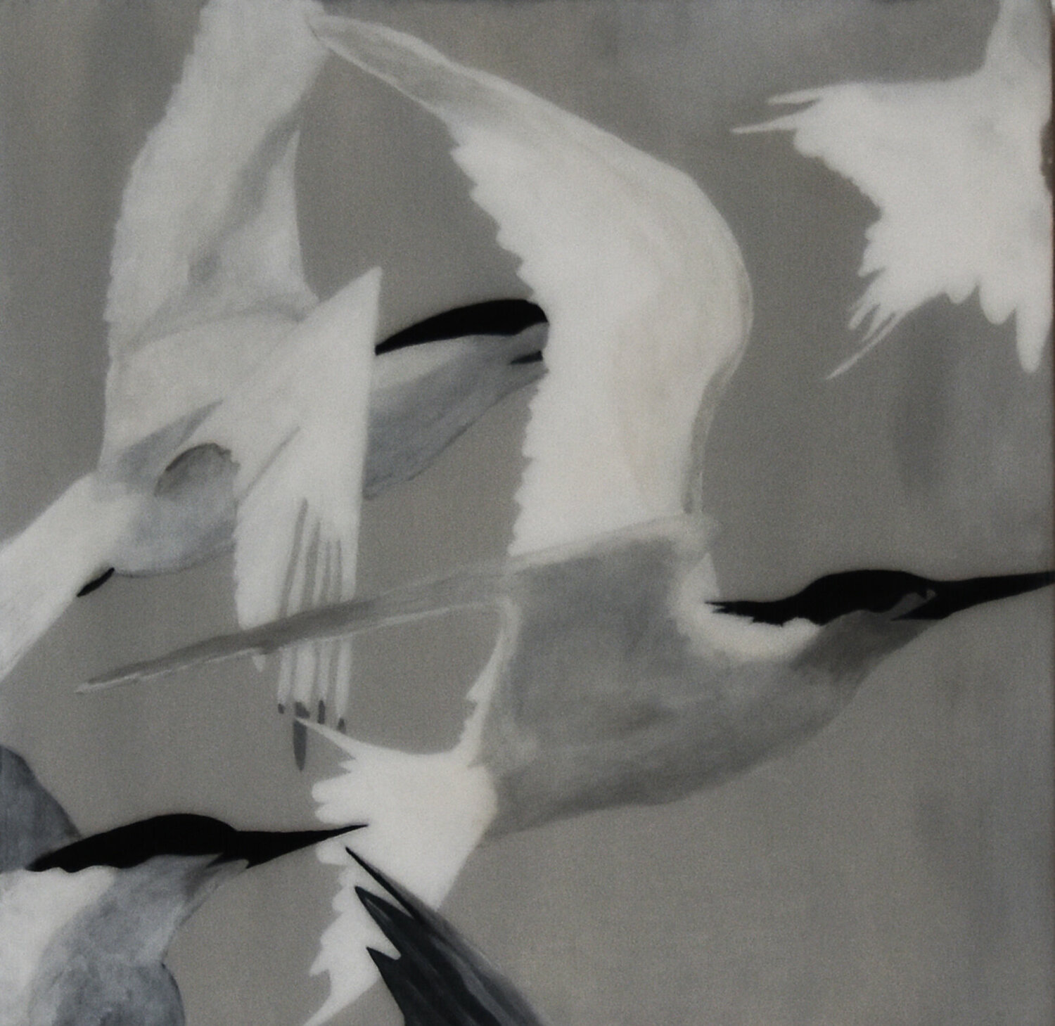 Flight of Terns #3 Kay Sleking