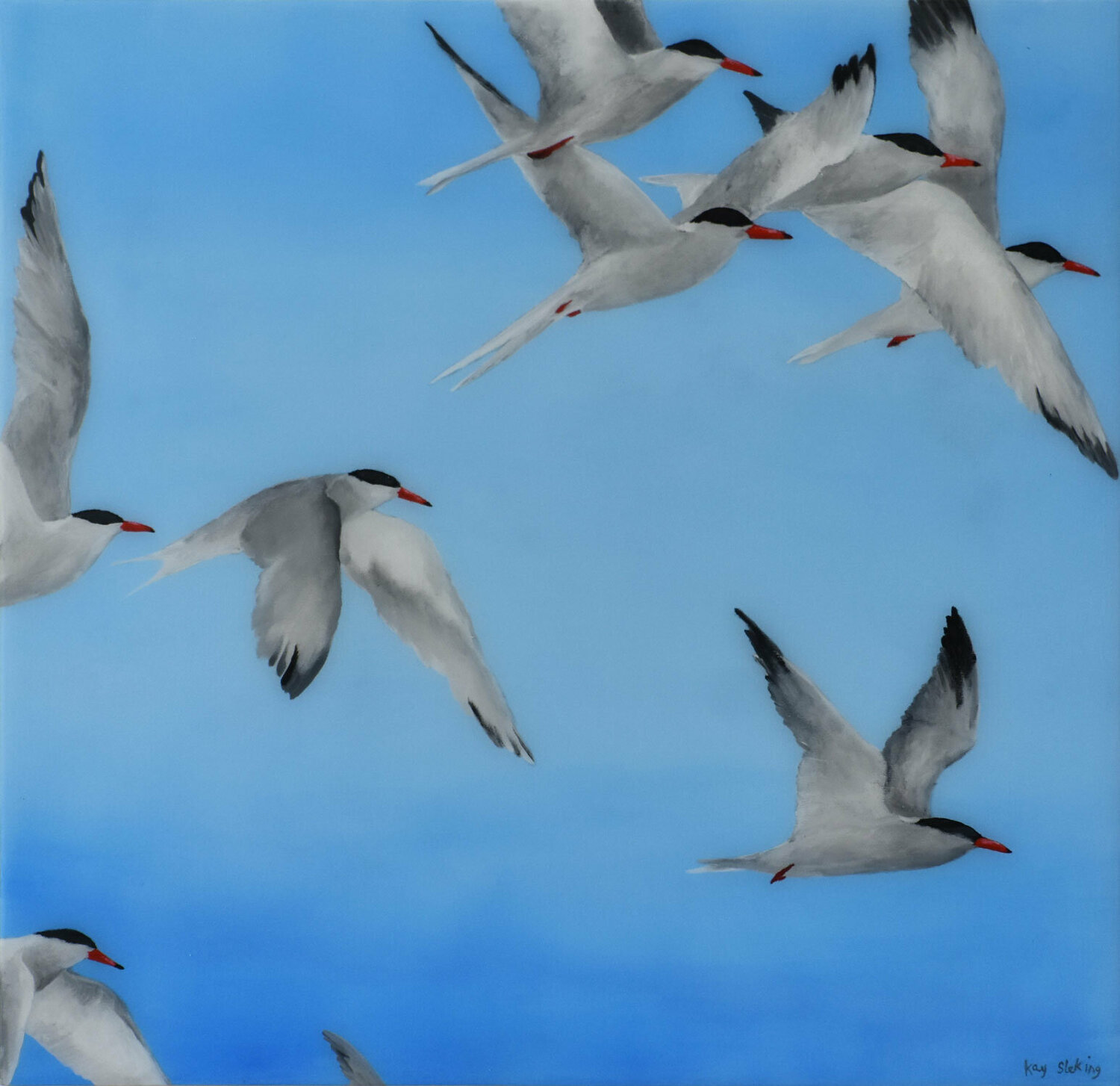 Flight of Terns 4# Kay Sleking