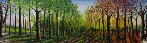 Cycle Of The Seasons von Hazel Thomson, Malerei kaufen auf Singulart