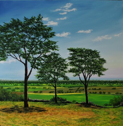 Cheshire Plains von Hazel Thomson, Malerei kaufen auf Singulart