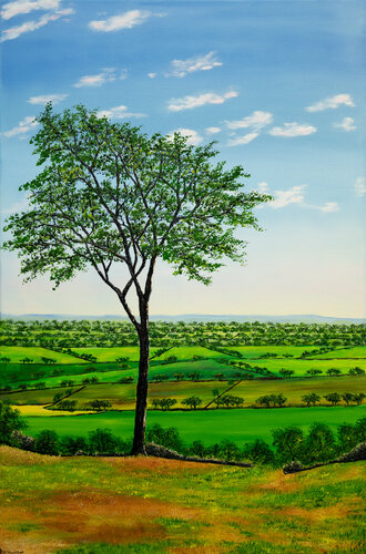 Summer In Cheshire by Hazel Thomson, 회화 for Sale on Singulart