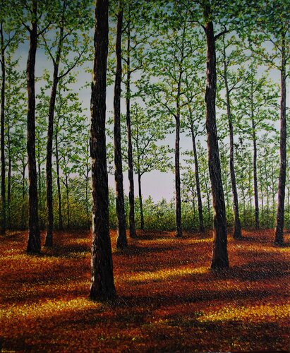 Afternoon Light von Hazel Thomson, Malerei kaufen auf Singulart