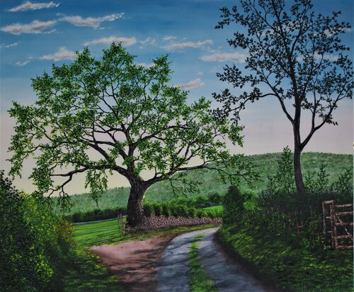 Mighty Oak In Summer Hazel Thomson