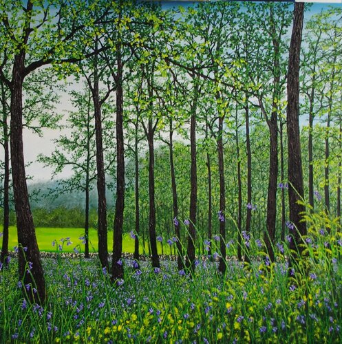 Springtime In The Woods von Hazel Thomson, Malerei kaufen auf Singulart