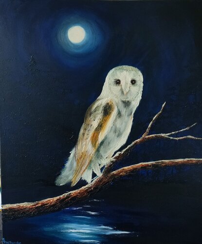 Barn Owl At Night von Hazel Thomson, Malerei kaufen auf Singulart
