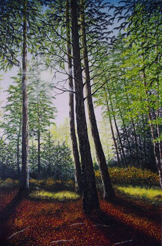 Light Through The Trees von Hazel Thomson, Malerei kaufen auf Singulart
