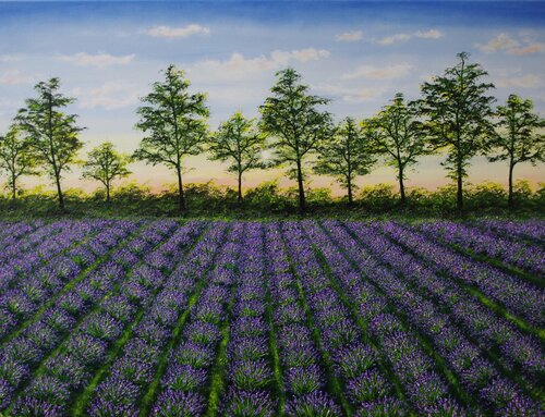 Lavender Feild At Dusk von Hazel Thomson, Malerei kaufen auf Singulart