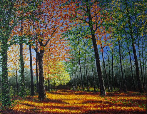 Autumn forest Glow von Hazel Thomson, Malerei kaufen auf Singulart