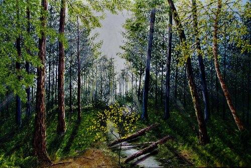 Light Refracting Through The forest von Hazel Thomson, Malerei kaufen auf Singulart