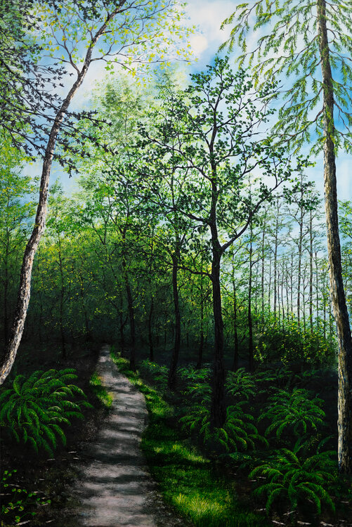 A Midsummers Day Hazel Thomson