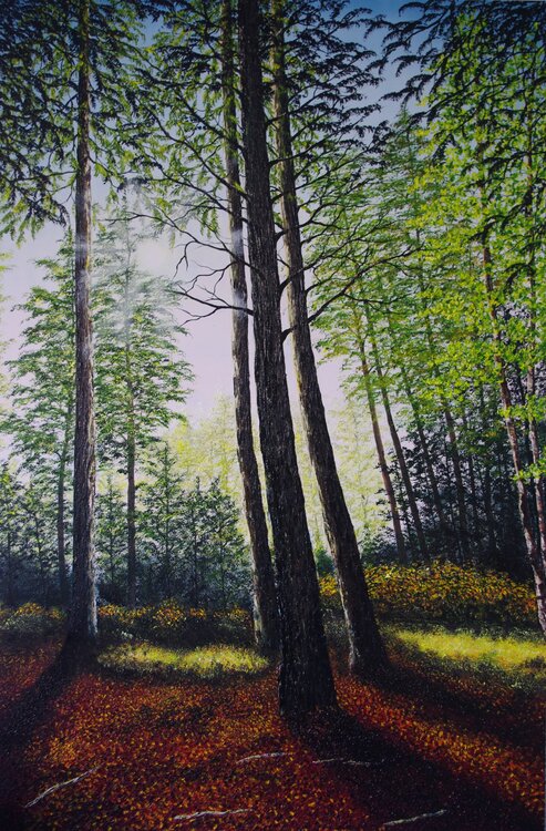 Light Through The Trees Hazel Thomson